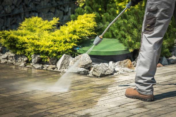 Best Animal Enclosure Cleaning  in Vestavia Hills, AL